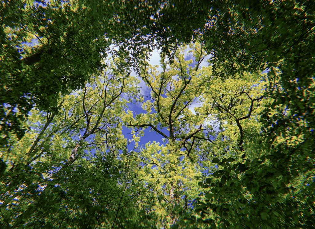 Nous aidons les leaders dans la transformation de leurs entreprises